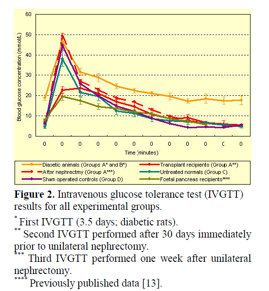 pancreas-Intravenous-glucose-tolerance