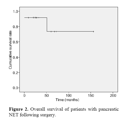 pancreas-NET-following-surgery