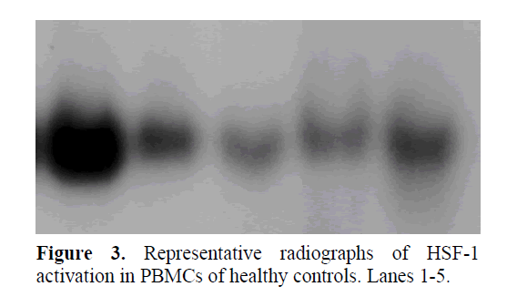 pancreas-PBMCs-healthy-controls