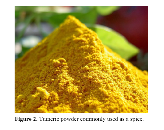 pancreas-Tumeric-powder-commonly