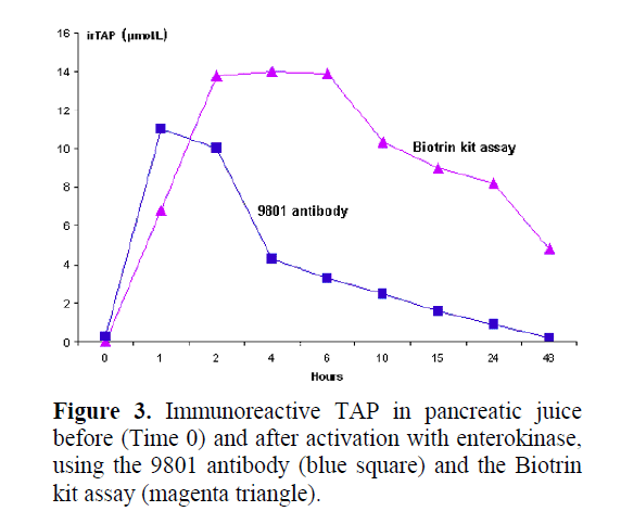 pancreas-activation-with-enterokinase