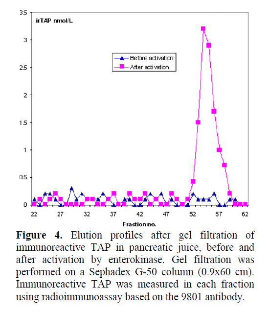 pancreas-after-activation-enterokinase