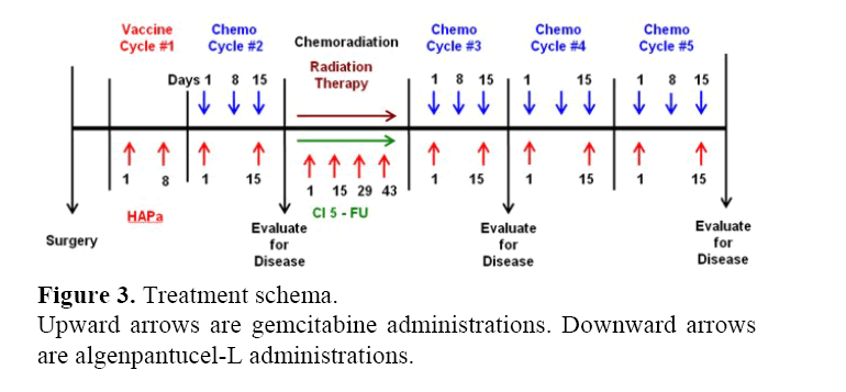 pancreas-algenpantucel-L-administrations