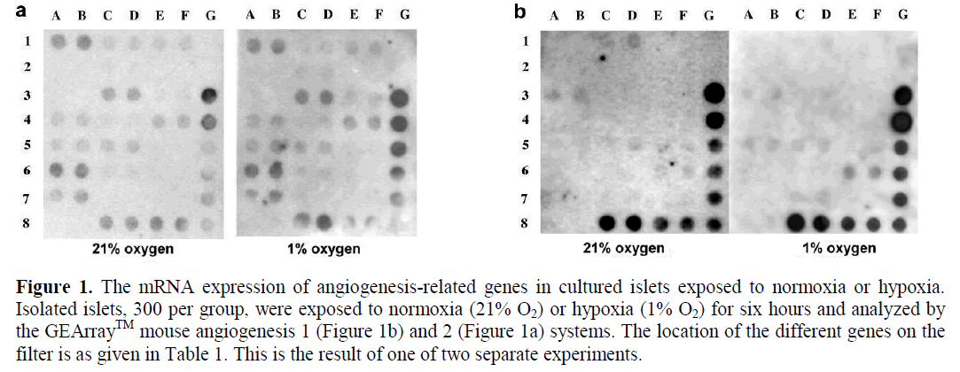 pancreas-angiogenesis-related-genes