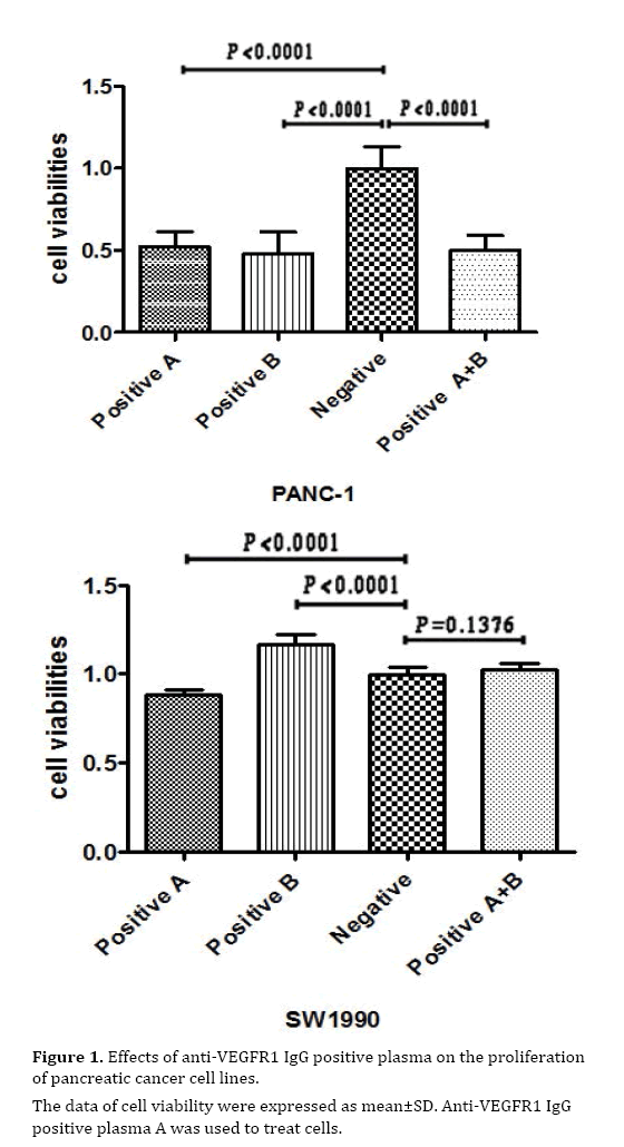 pancreas-anti-vegfr1