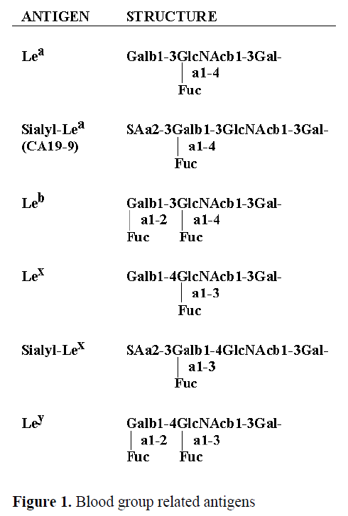 pancreas-blood-group-related-antigens