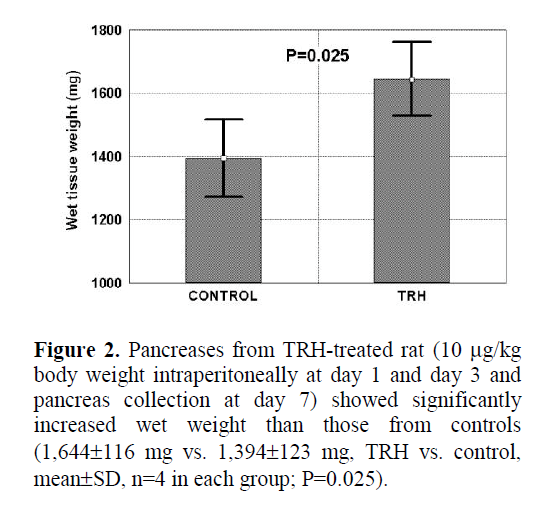 pancreas-body-weight-intraperitoneally