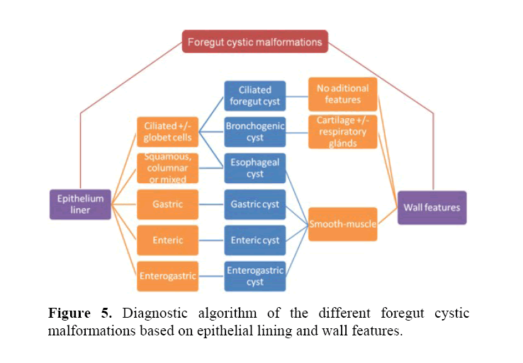 pancreas-bronchogenic-cyst