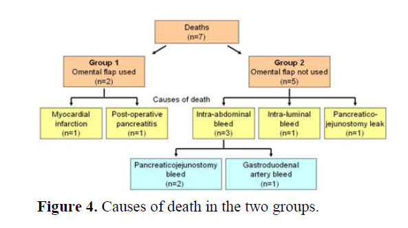 pancreas-causes-death-two-groups