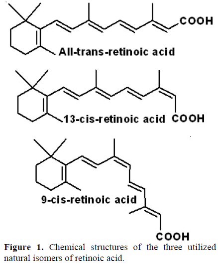 pancreas-chemical-structures-isomers