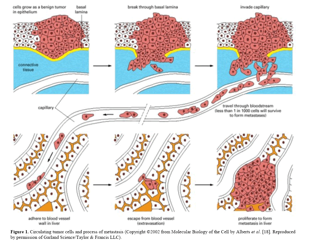 pancreas-circulating-tumor-cells