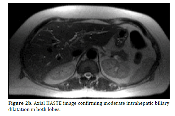 pancreas-confirming