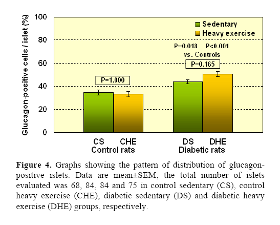 pancreas-control-sedentary