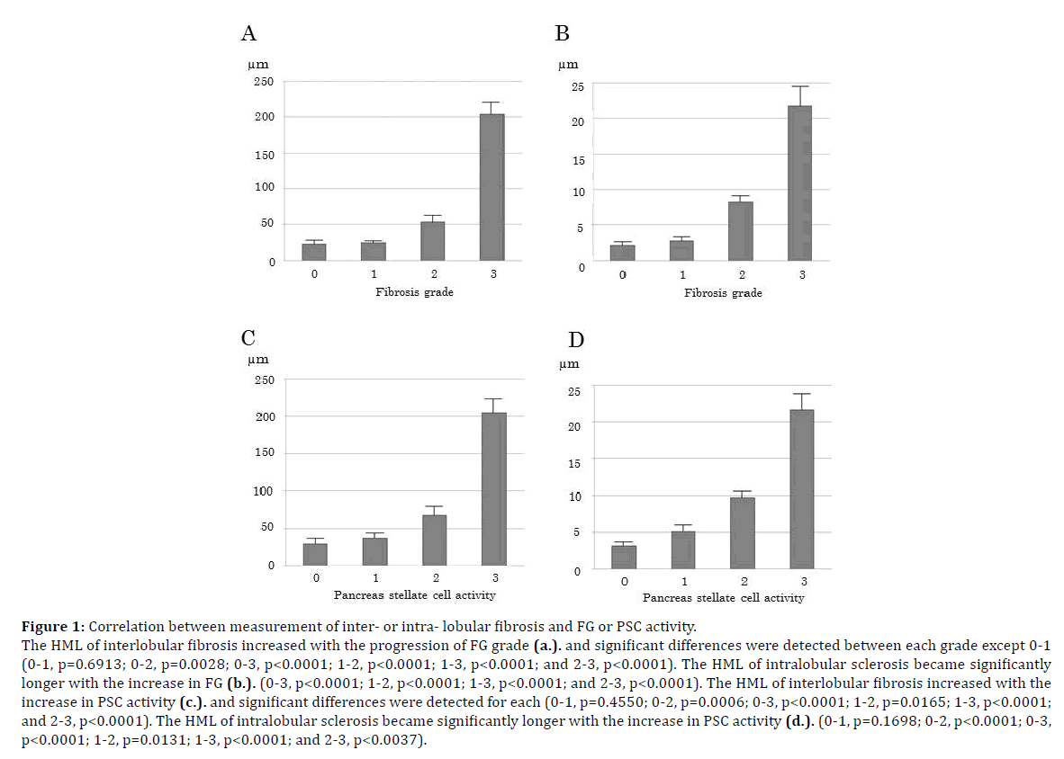 pancreas-correlation-measurement-fibrosis