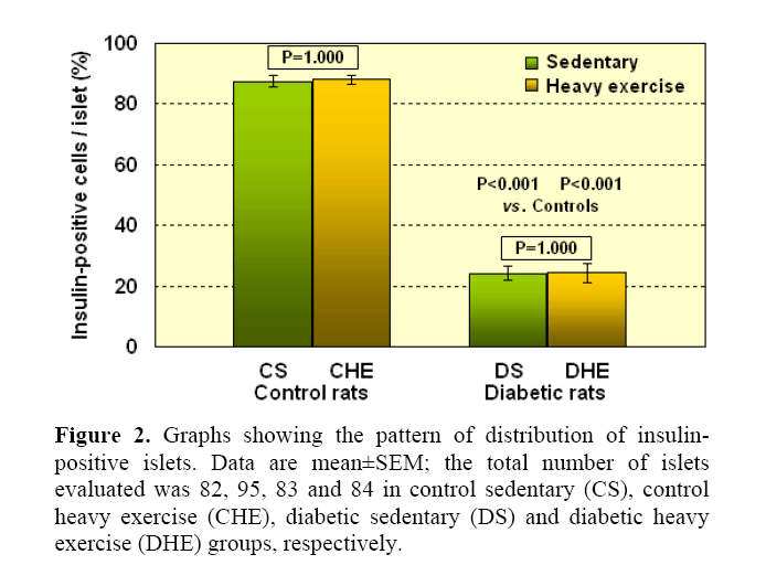 pancreas-diabetic-sedentary