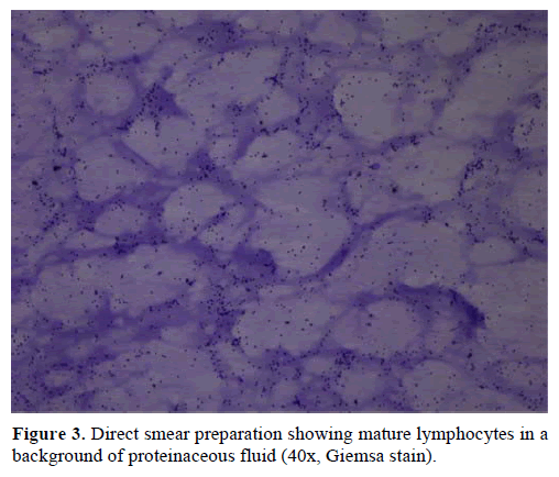 pancreas-direct-smear-preparation-mature