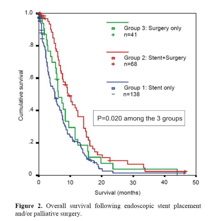 pancreas-endoscopic-stent-placement