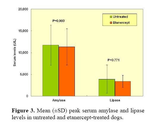 pancreas-etanercept-treated-dogs