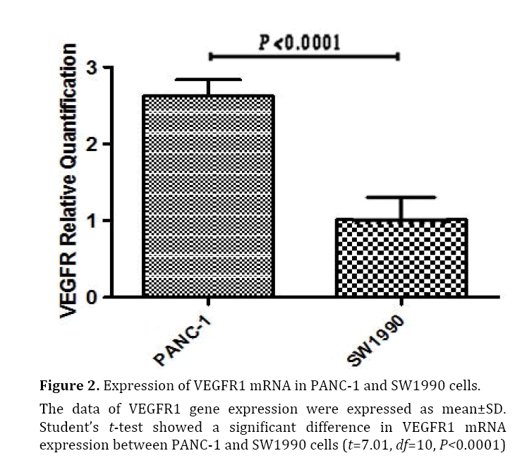 pancreas-expression-vegfr1