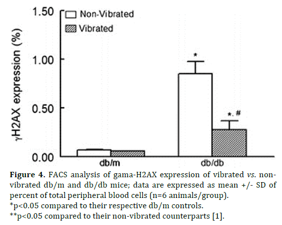 pancreas-facs-analysis-gama-h2ax