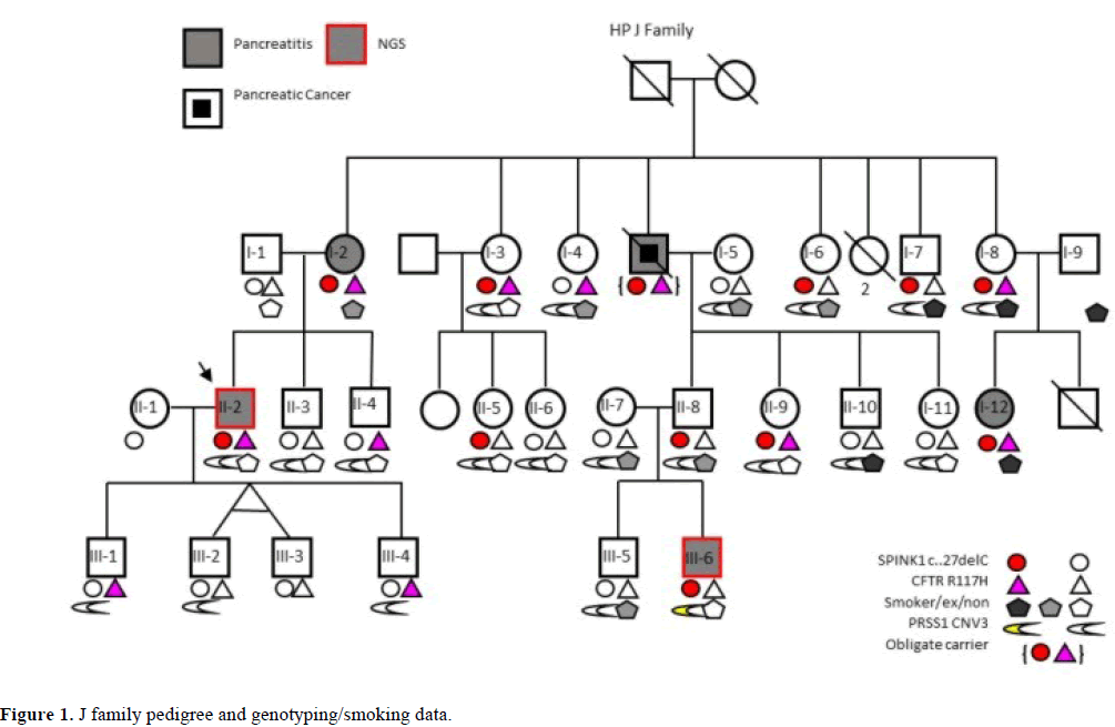 pancreas-family-pedigree-genotyping