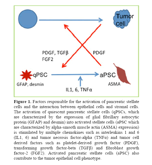 pancreas-gemcitabine-based-therapies