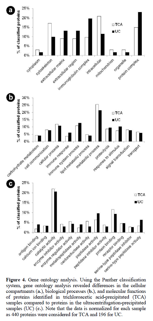 pancreas-gene-ontology-cellular