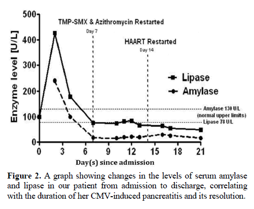 pancreas-graph-changes-serum-amylase