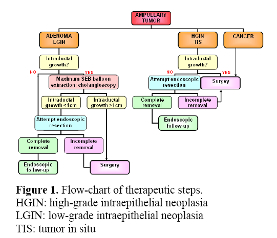 pancreas-high-grade-intraepithelial-neoplasia