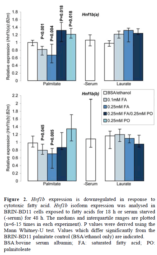 pancreas-hnf1a-expression-downregulated