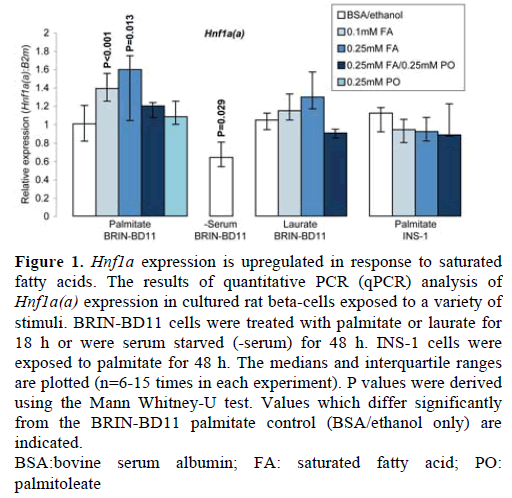 pancreas-hnf1a-expression-upregulated