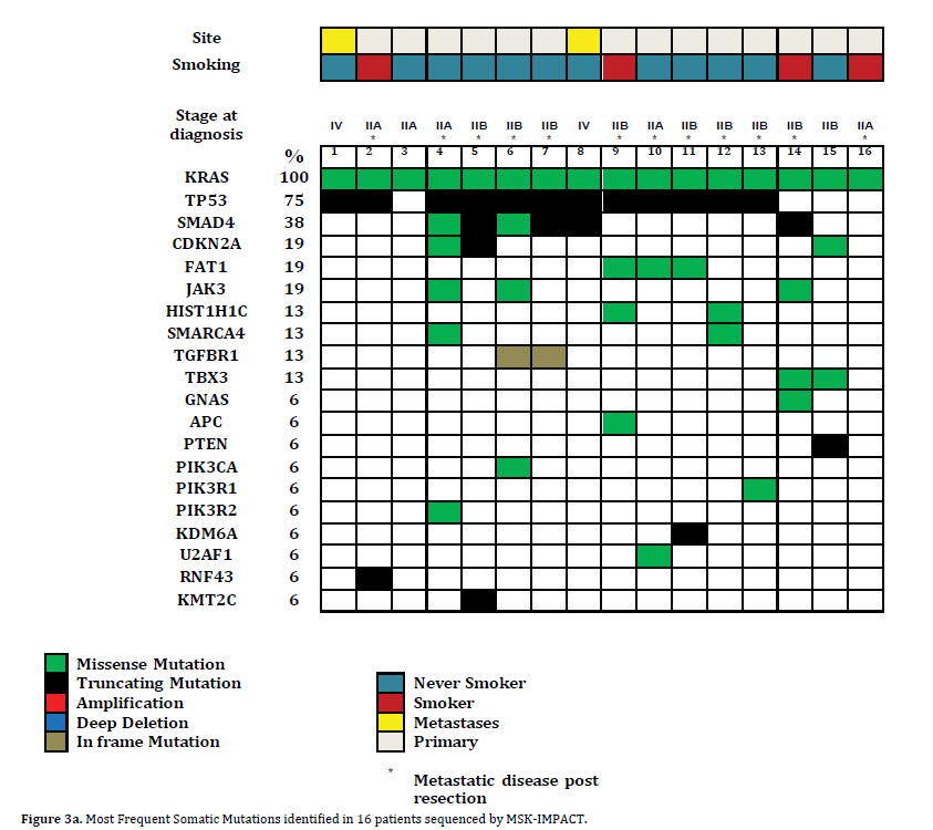 pancreas-identified