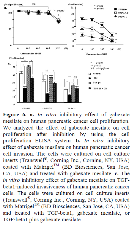 pancreas-inhibitory-effect-gabexate
