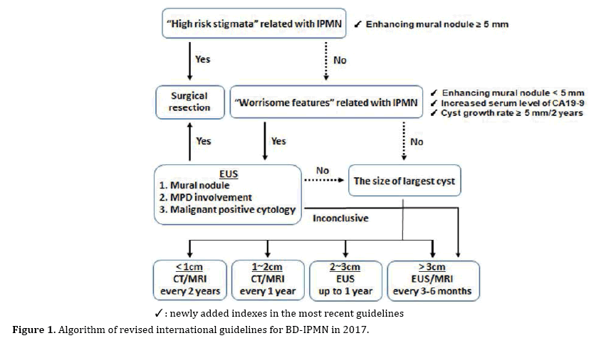 pancreas-international-guidelines