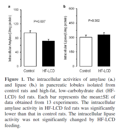 pancreas-intracellular-activities-amylase