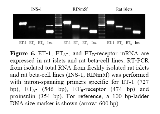 pancreas-intron-spanning-primers