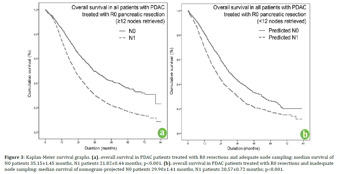 pancreas-kaplan-meier-survival