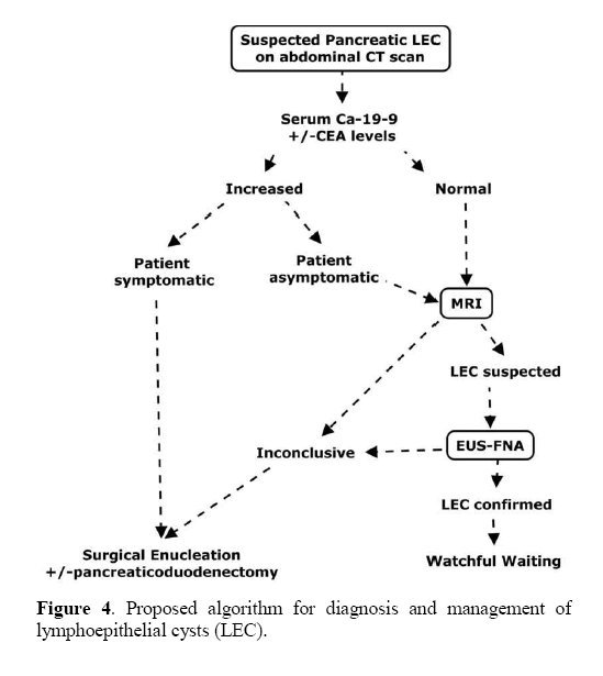 pancreas-lymphoepithelial-cyst