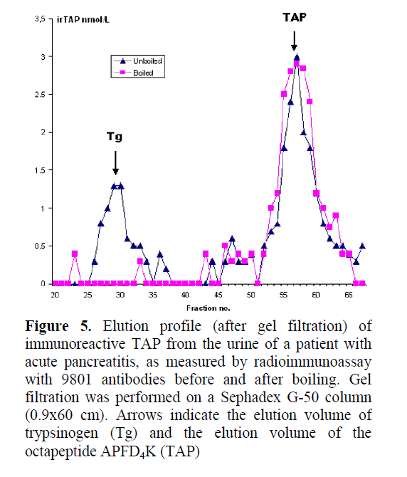 pancreas-measured-radioimmunoassay