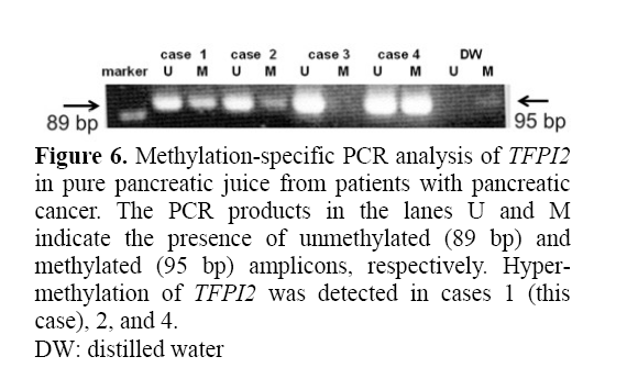 pancreas-methylation-specific-PCR
