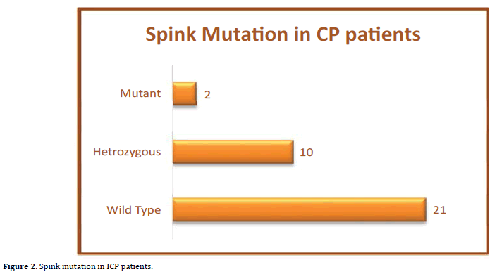 pancreas-Elastography-normal-mutation