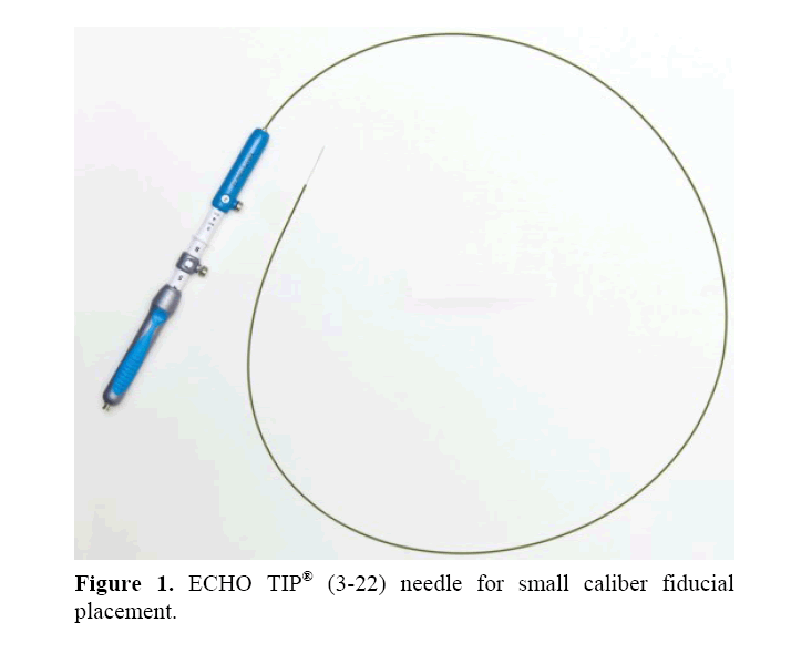 pancreas-needle-small-caliber-fiducial