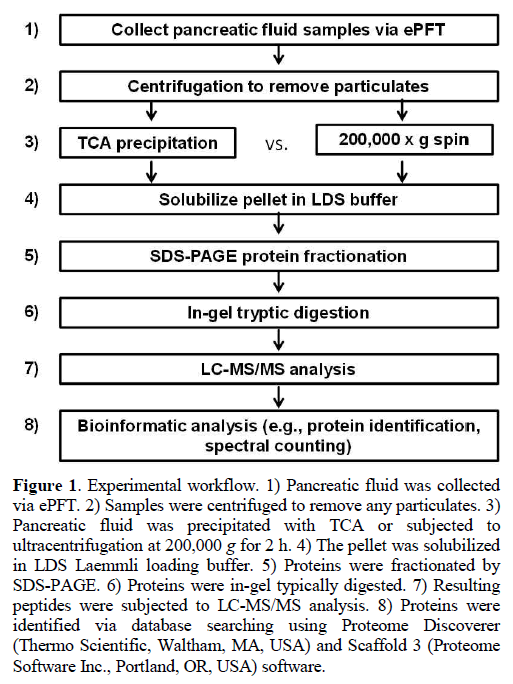 pancreas-pancreatic-fluid-samples