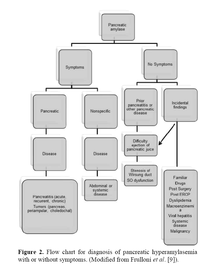 pancreas-pancreatic-hyperamylasemia