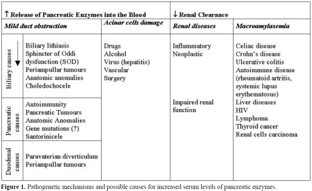 pancreas-pathogenetic-mechanisms-possible