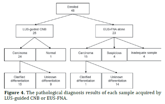 pancreas-pathological-diagnosis-guided