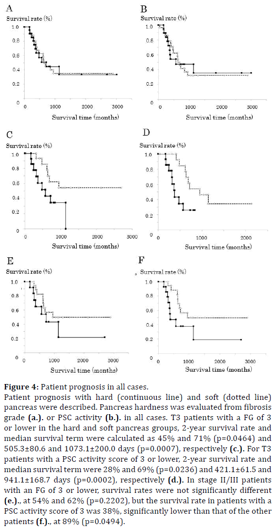 pancreas-patient-prognosis-cases