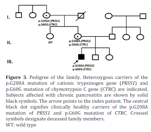 pancreas-pedigree-heterozygous-carriers