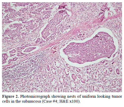 pancreas-photomicrograph-uniform