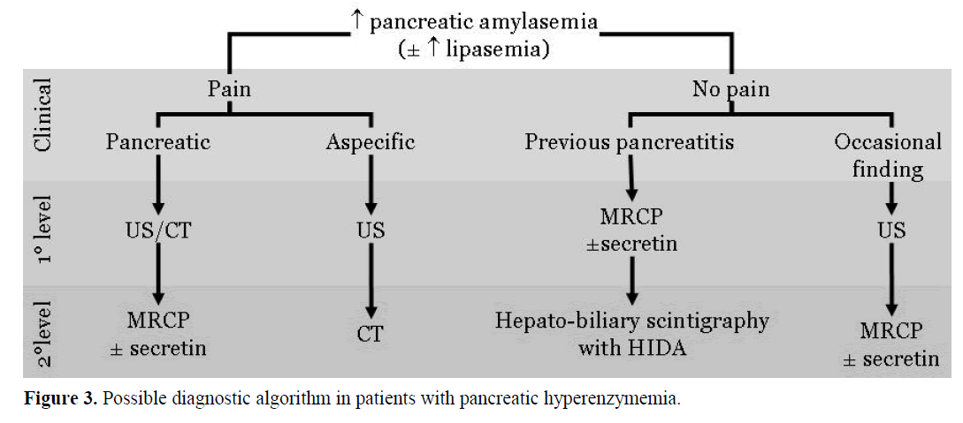 pancreas-possible-diagnostic-algorithm